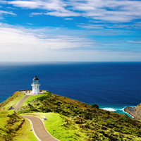 7 Free Things to Do in Wellington