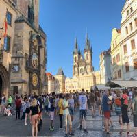 Pros and Cons of Living in Czechia