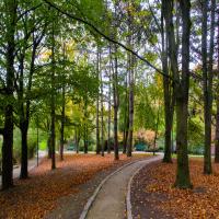 7 Free Things to Do in Paris