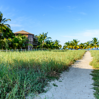 Moving-to-Belize-with-a-Pet