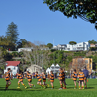7 Free Things to Do in Christchurch