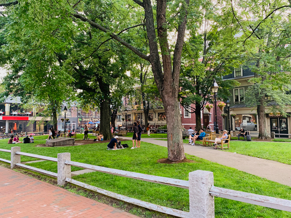 Living in Boston - Pros & Cons of Living in Boston
