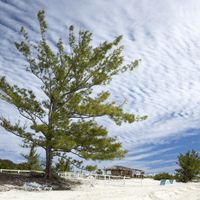 Pros and Cons of Living in Bahamas