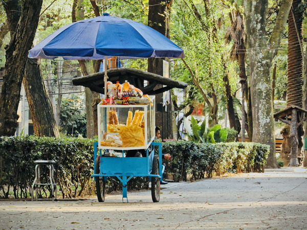 Parque Mexico in La Condesa, Mexico City