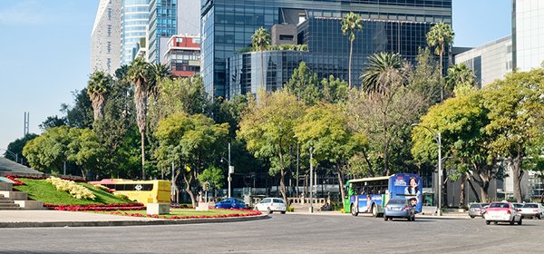 Digital Nomads Mexico City
