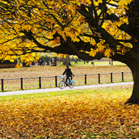 Thanksgiving-in-London