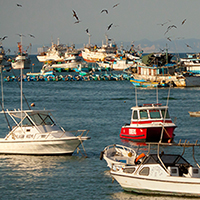 7 Free Things to Do in Guayaquil
