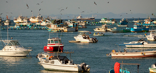 Marina in Ecuador