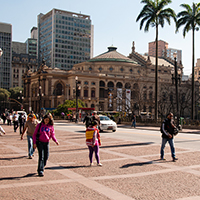 Chikungunya-Disease-in-Brazil