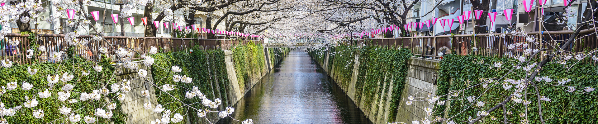 Nakameguro in Tokyo