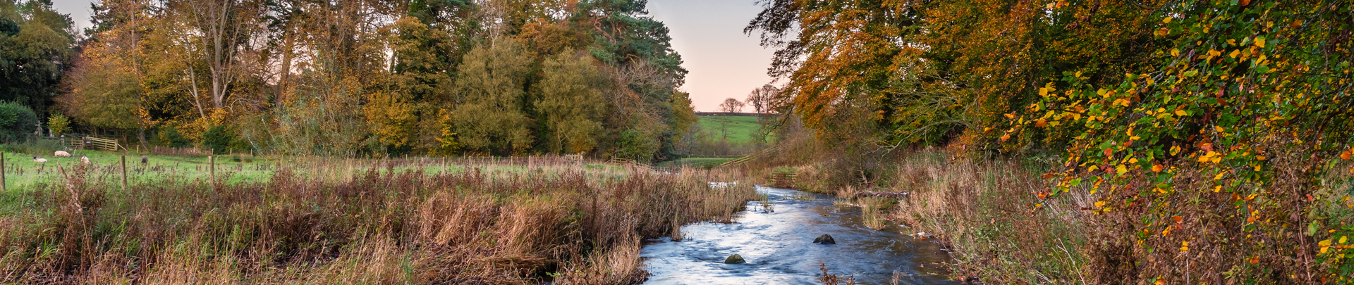 Wallington in Sutton, London