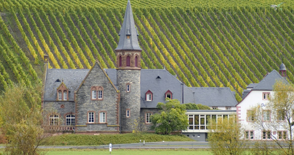 Best Places for Digital Nomads to Live in Germany