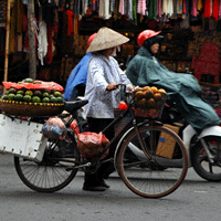 Digital Nomads Vietnam