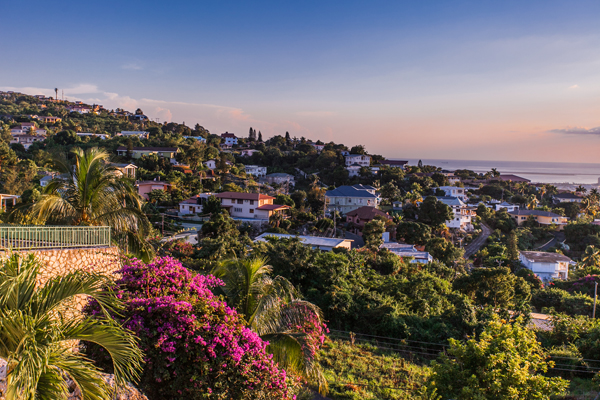 Blue Mountains in Jamaica