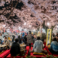 9-Best-Cities-in-Japan--Best-Time-of-Year-to-Visit