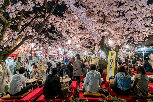 Hanami Festival in Kyoto, Japan