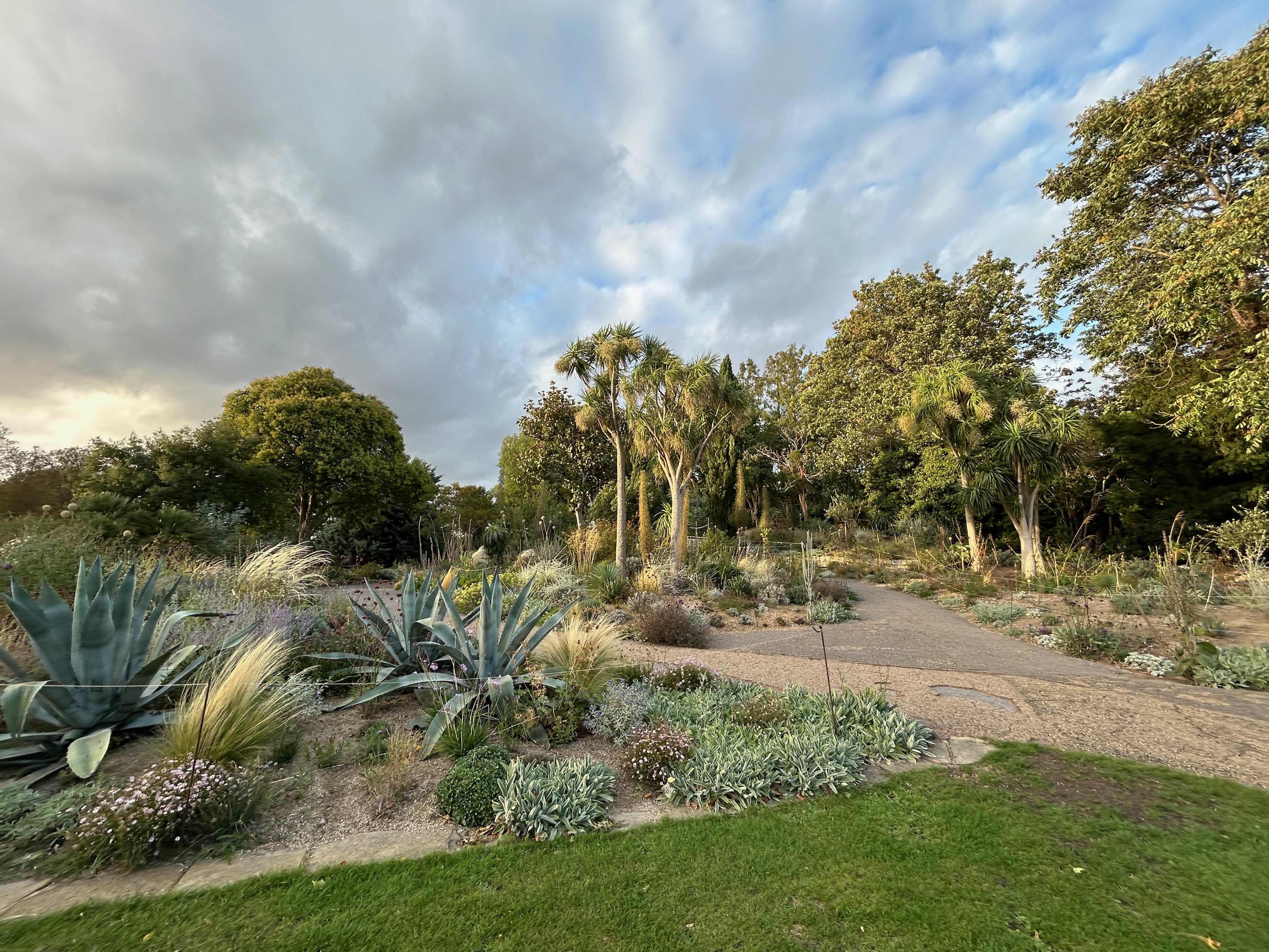Queen Mary's Garden in Regent's Park