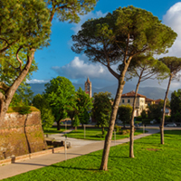 Chikungunya-Disease-in-Italy