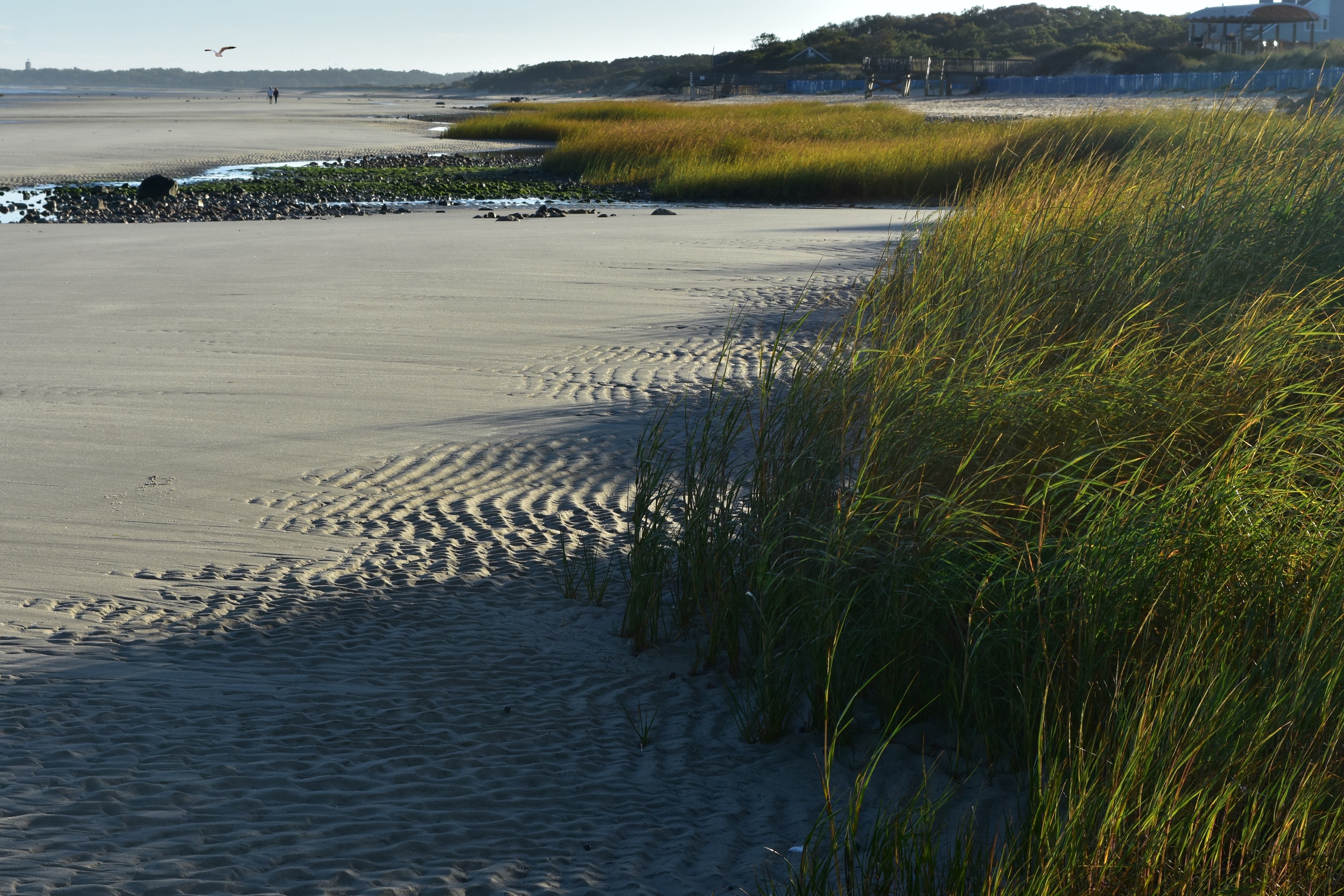 Orleans on Cape Cod, MA