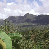 Pros and Cons of Living in Panama