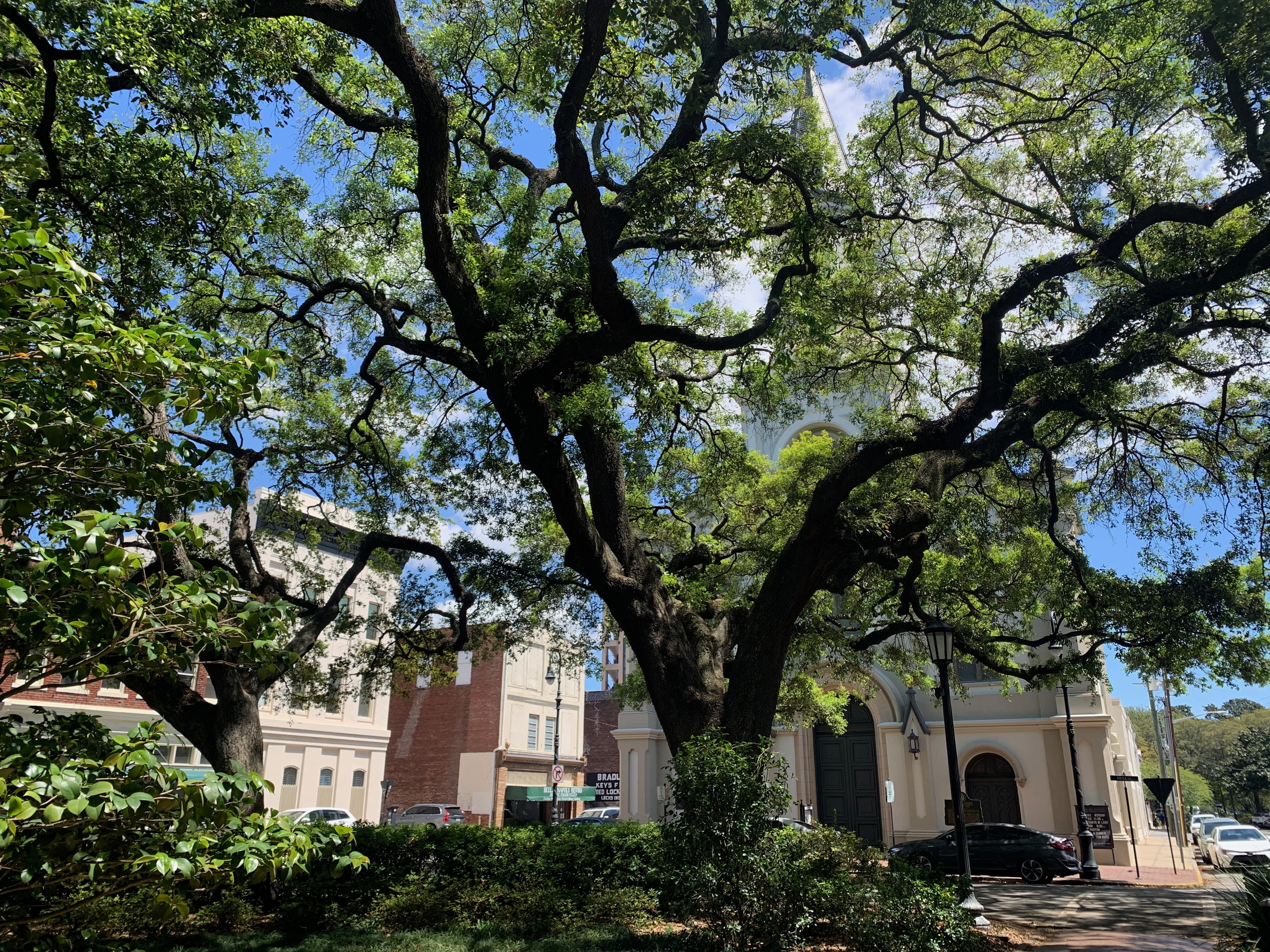 Savannah, Georgia