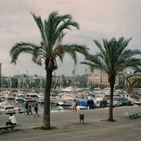 Fun Classes for Expats Living in Barcelona