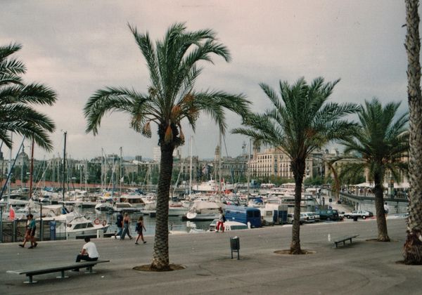 La Marina del Port (Barcelona)