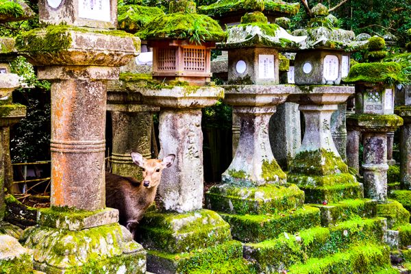 Nara, Japan