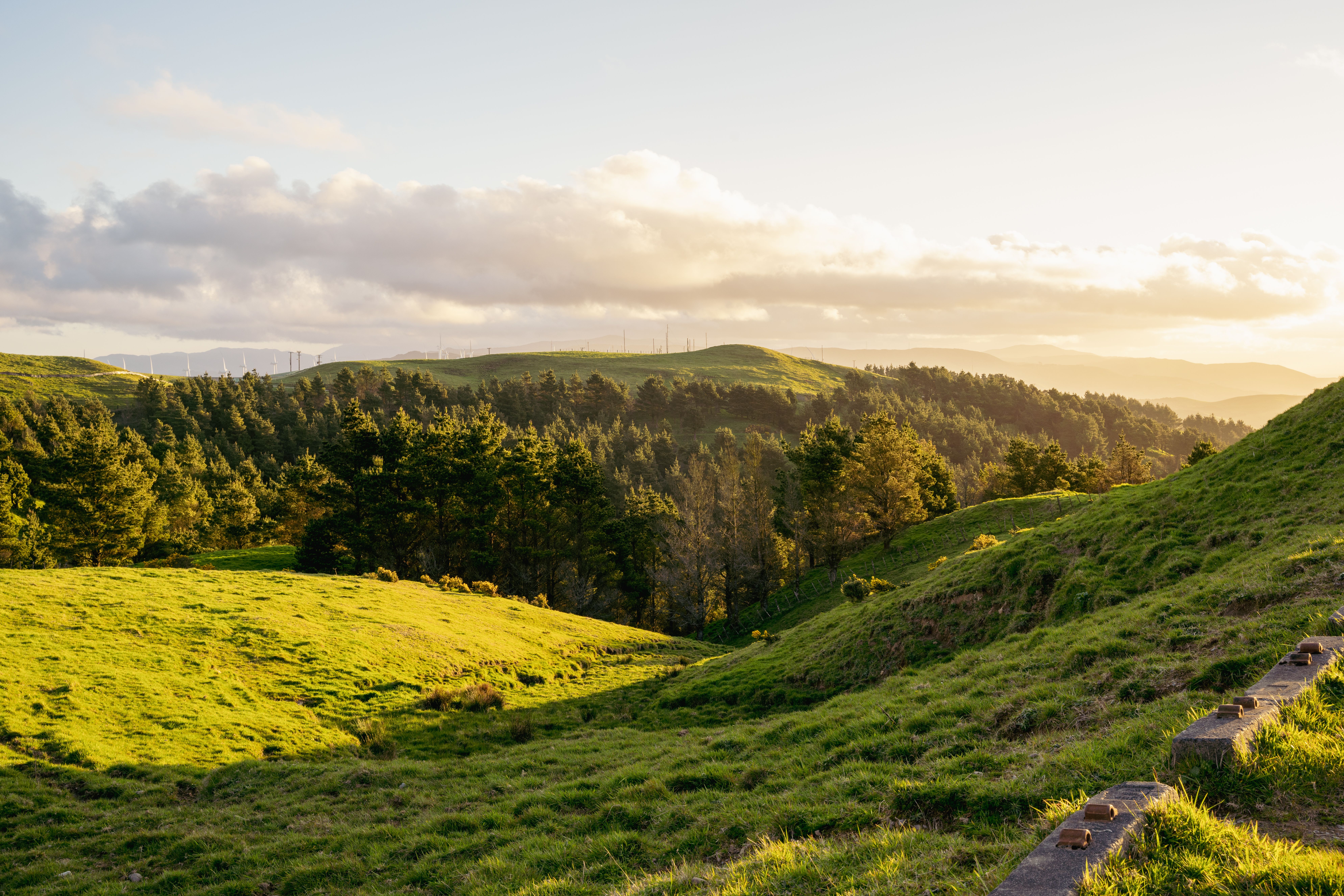 Palmerston North, New Zealand