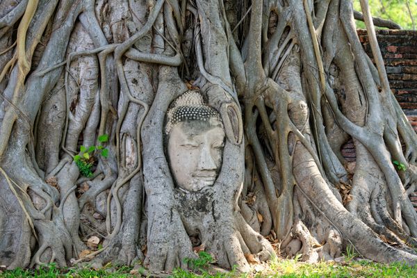 Ayutthaya, Thailand