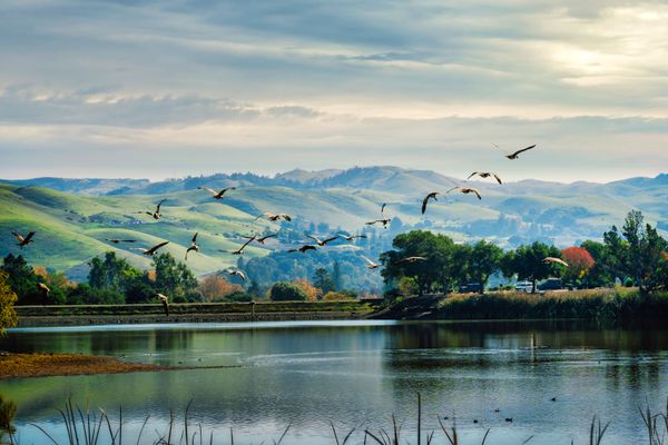 San Jose, United States