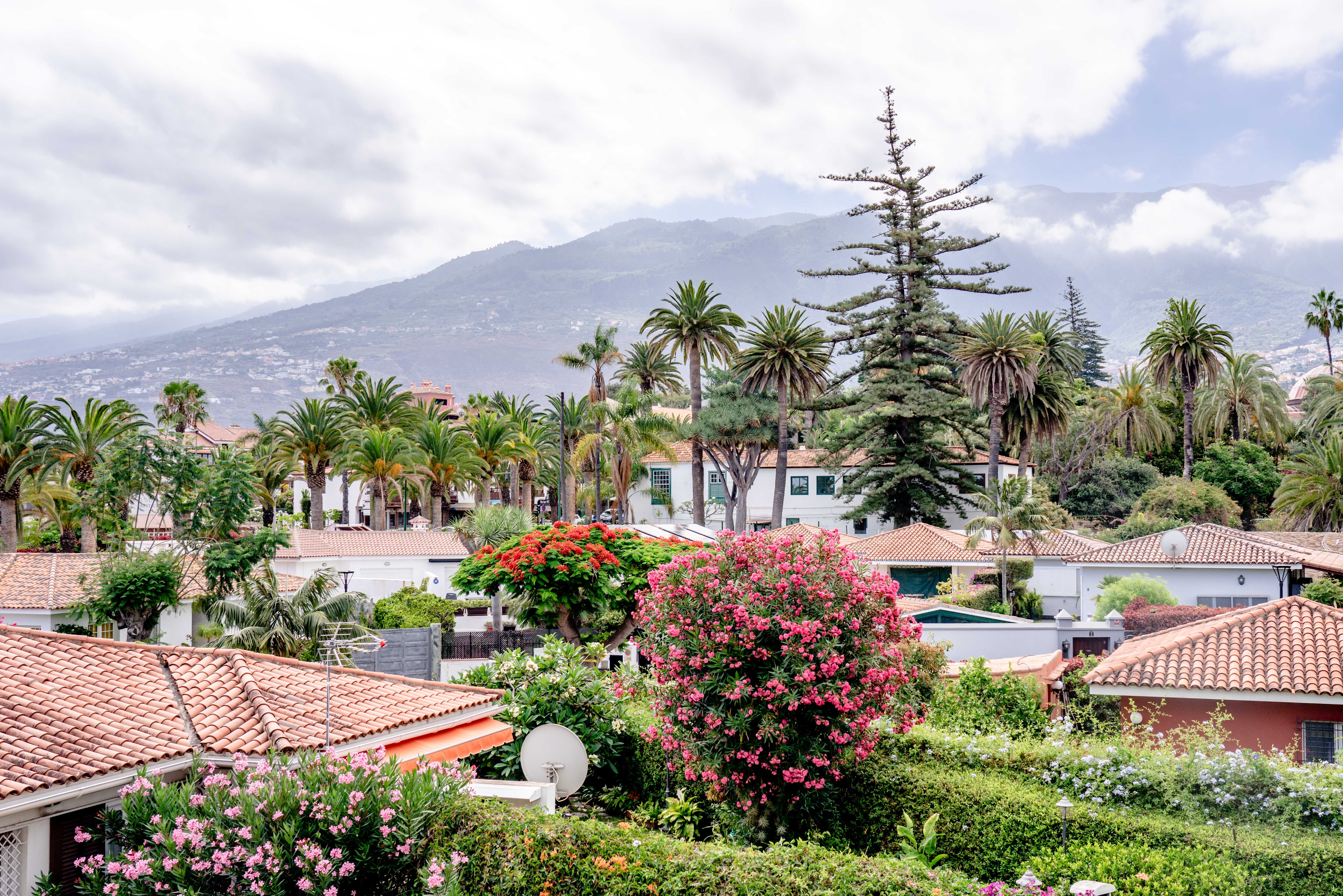 Puerto de la Cruz
