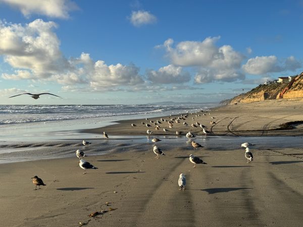 Encinitas