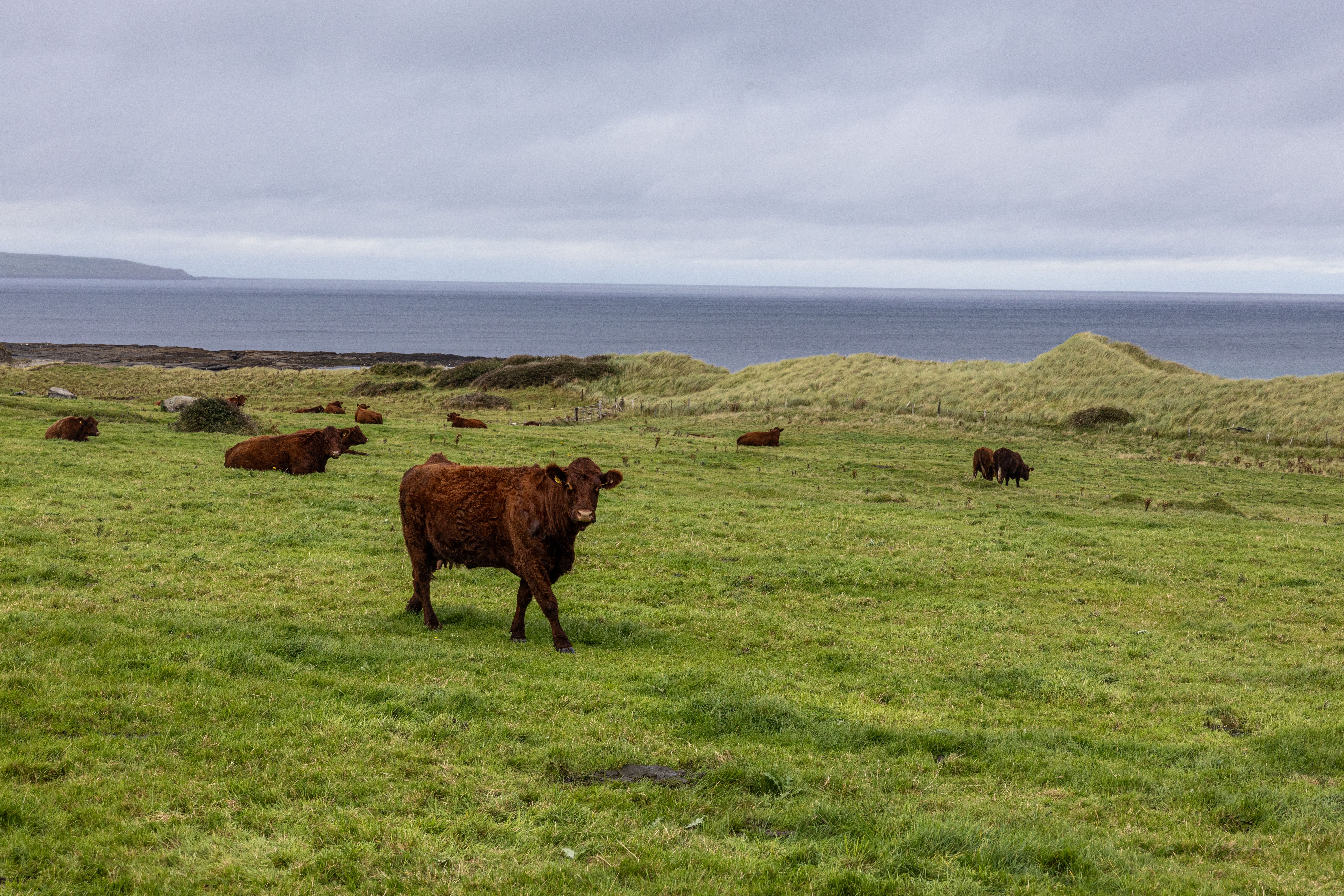 Sligo