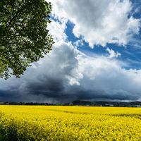 Digital Nomad Visa in Germany