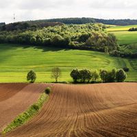 Pros and Cons of Living in Germany