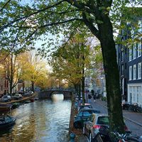 Pros & Cons of Living in Amsterdam
