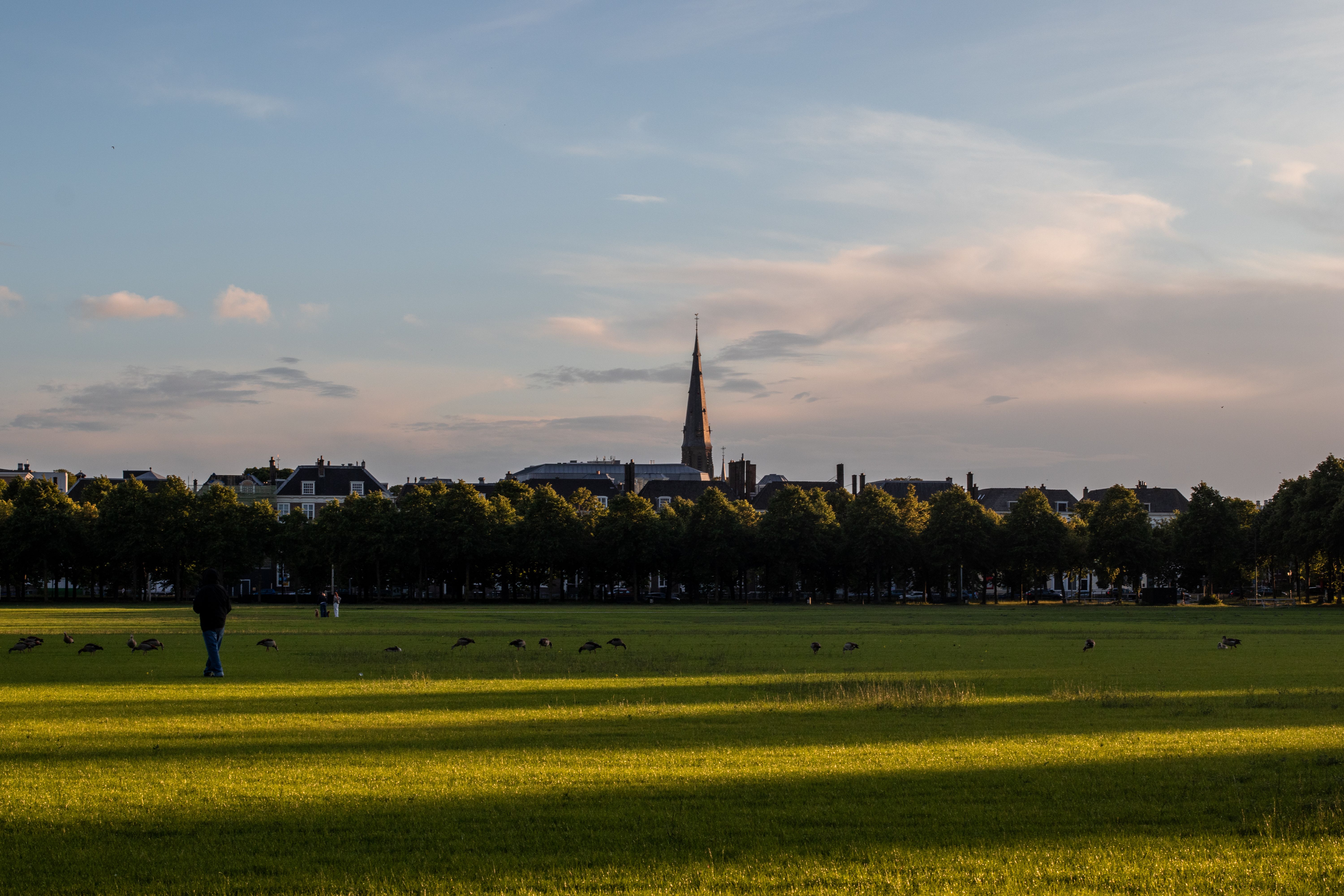 The Hague, Netherlands