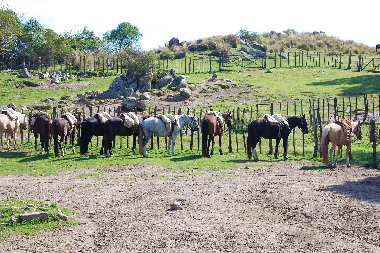 Cordoba, Argentina