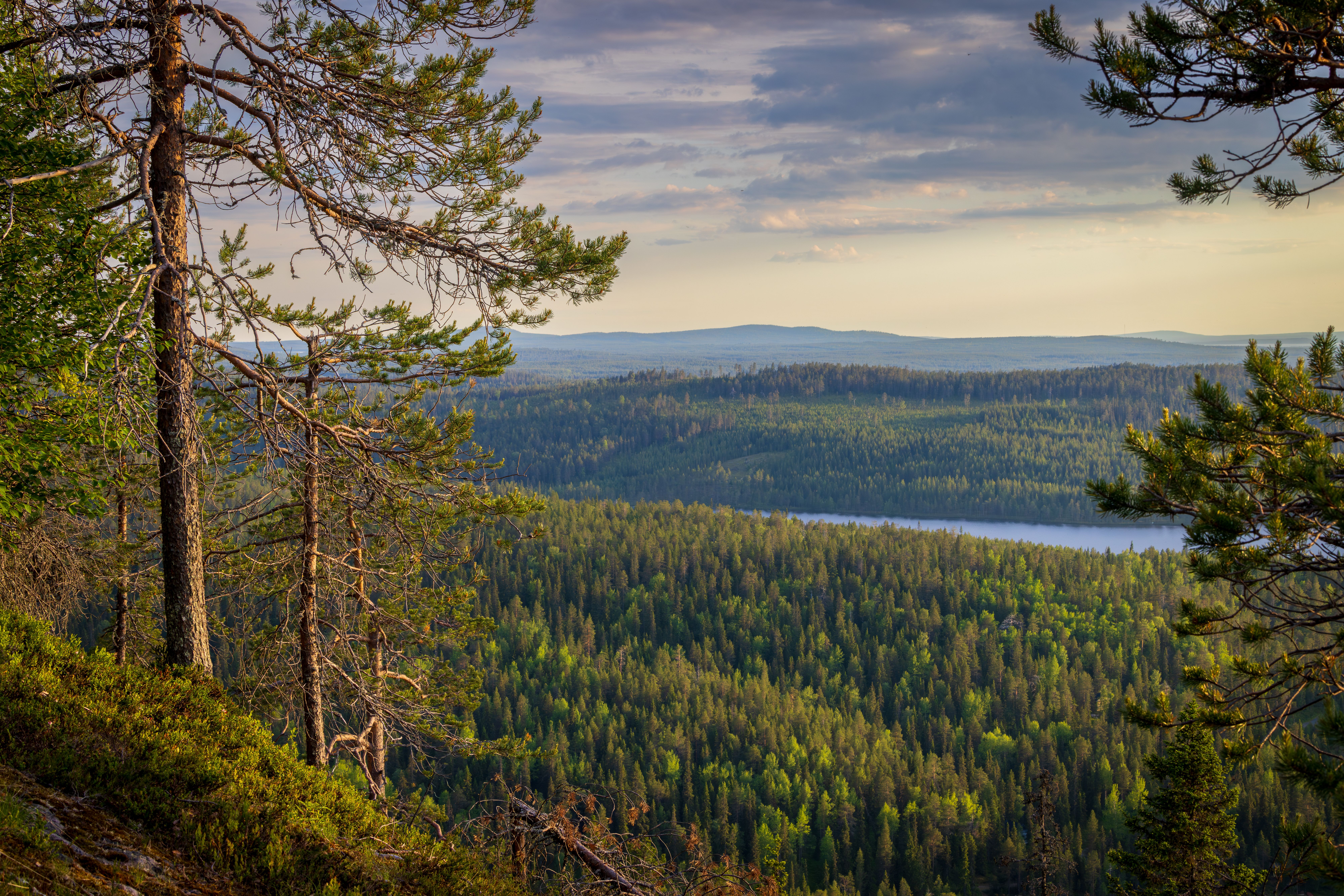 Finland