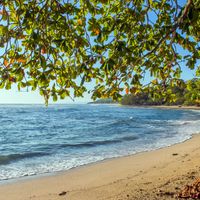 Pros and Cons of Living in Costa Rica