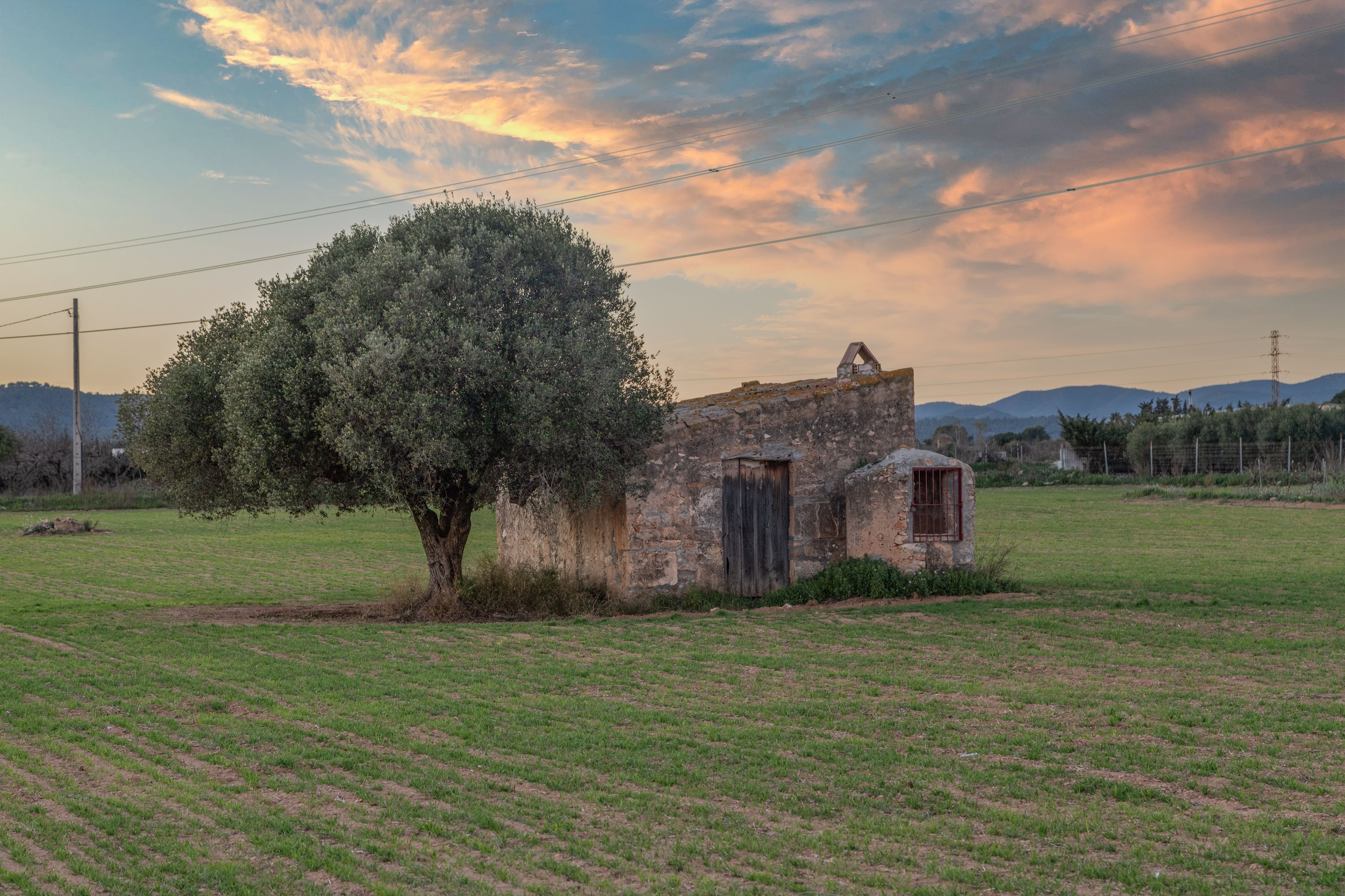Oliva, Spain