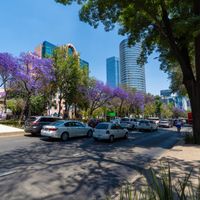 Fun Classes for Expats Living in Mexico City