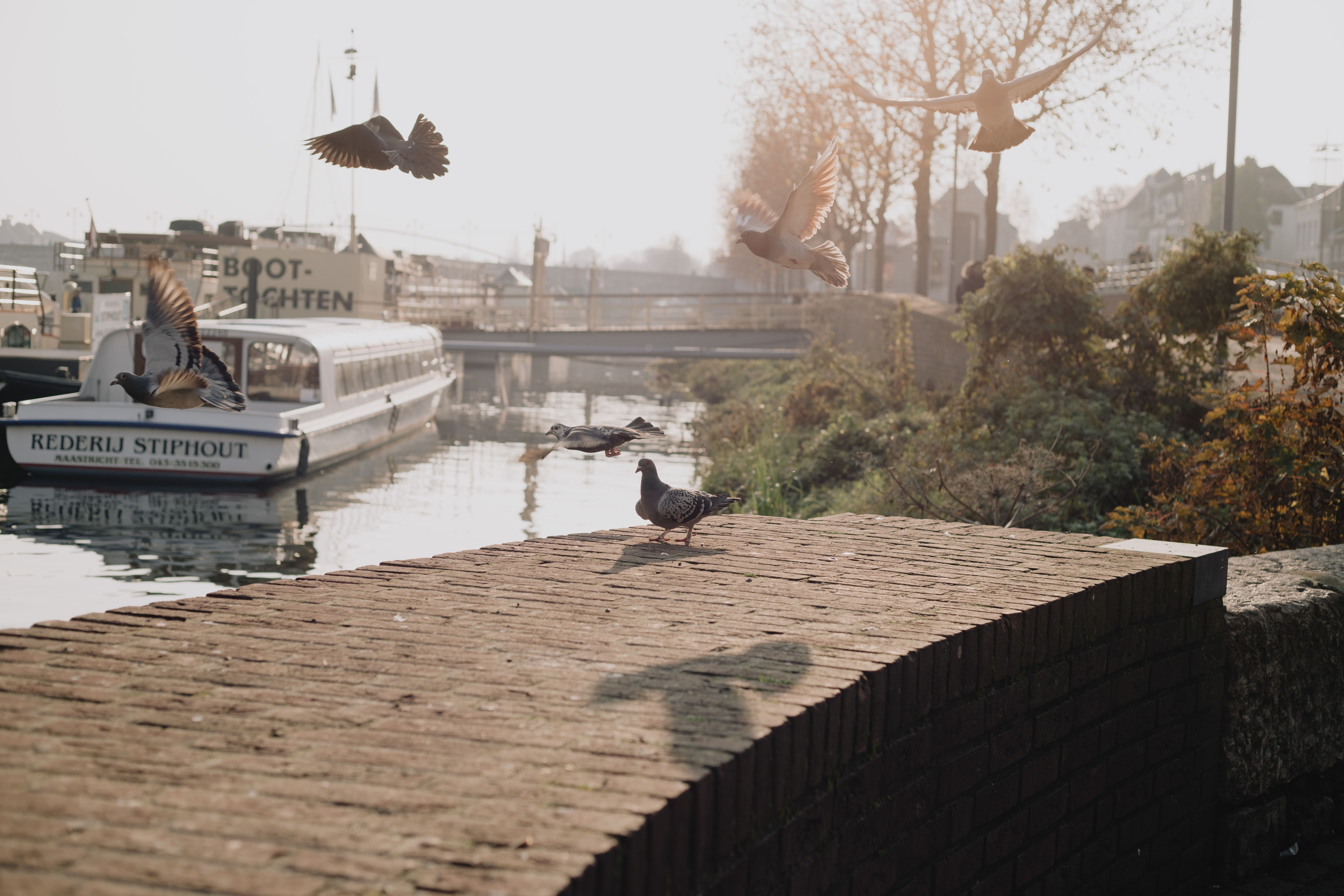 Maastricht, Netherlands