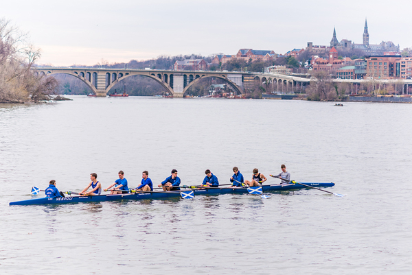 Scullers on Potomac River in Washington D.C. 