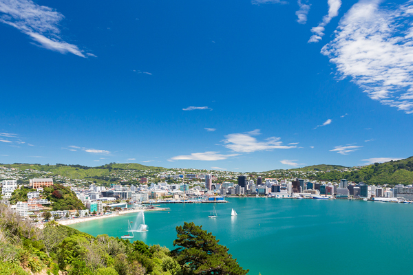 Living in Wellington - 7 Free Things to Do in Wellington