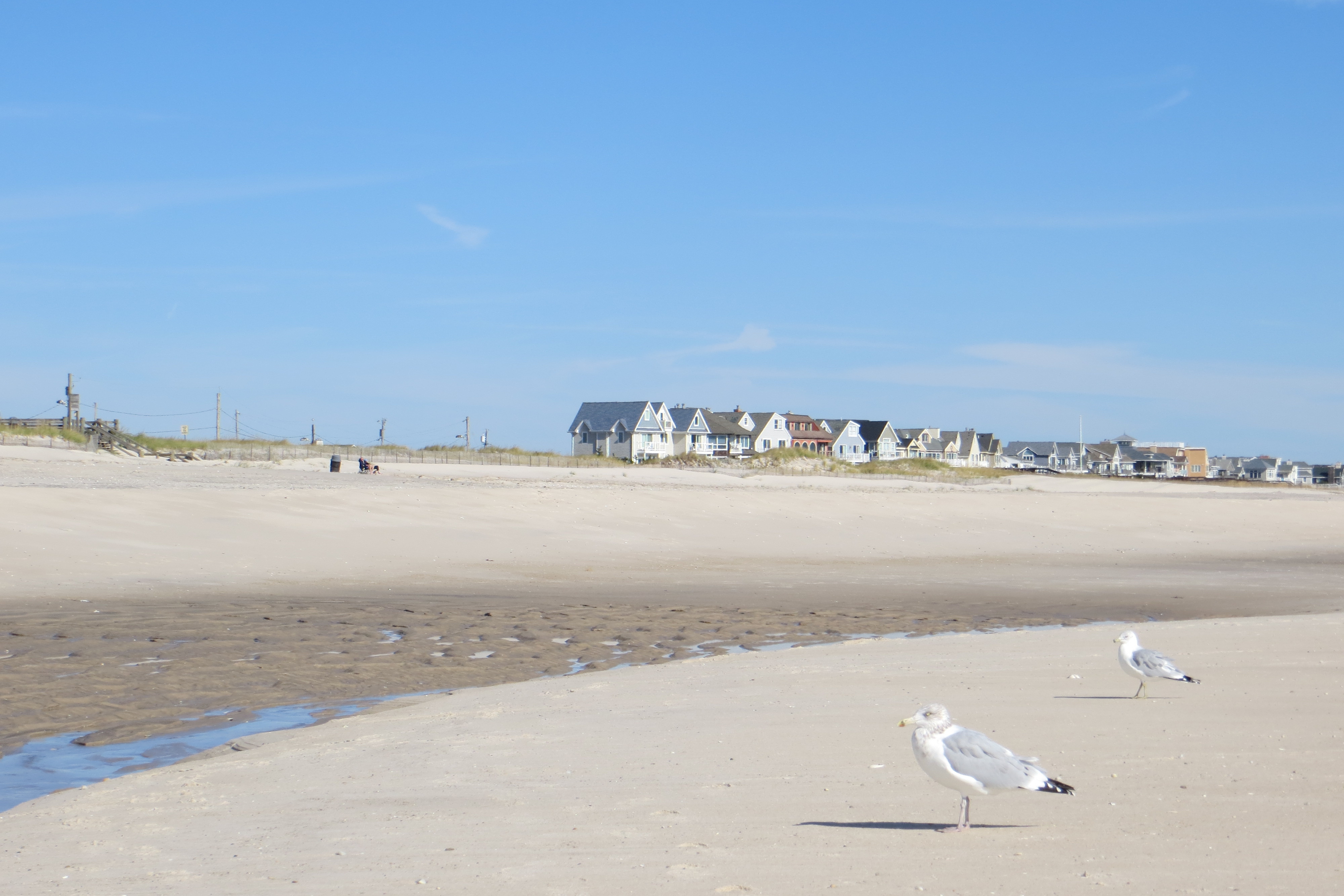 Cupsogue Beach - Westhampton Beach, NY